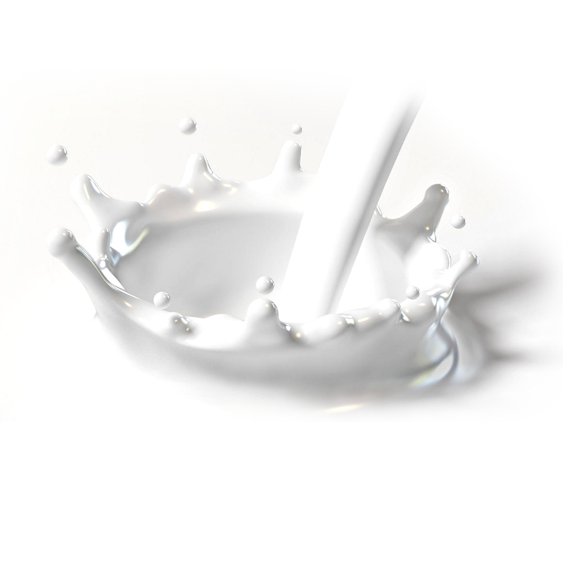 Carboxylated SBR Latex: A Key Component in Waterproofing